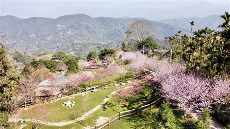 聽花山川|園區介紹